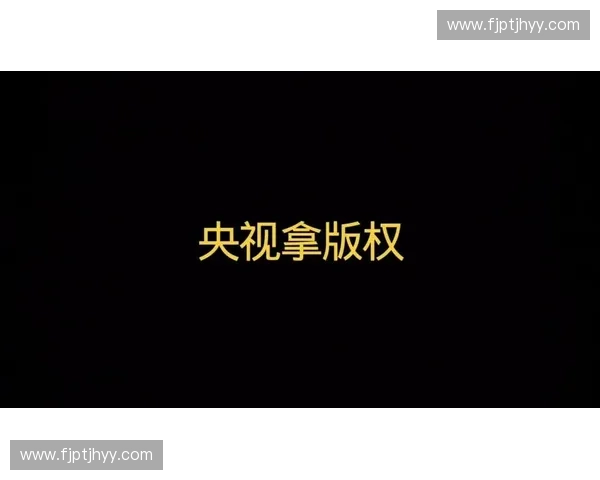 中国观众聚焦世界杯精彩赛事直播全程解析与互动体验